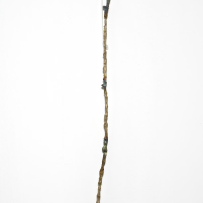 Image of Leah Carless