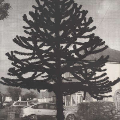 Image of Andrew Curtis