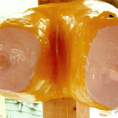 Image of Daniel Silver