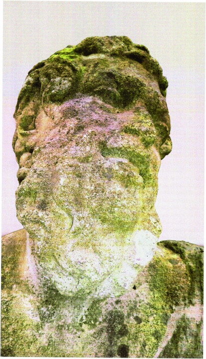 portrait-of-silenus-2-sized-and-corrected-to-print.jpg