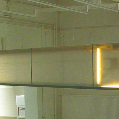 Image of Nathaniel Rackowe