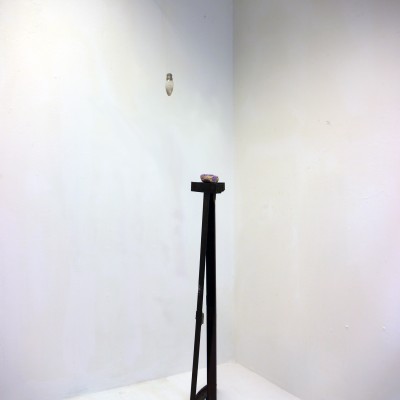 Image of Sїan Rees Astley