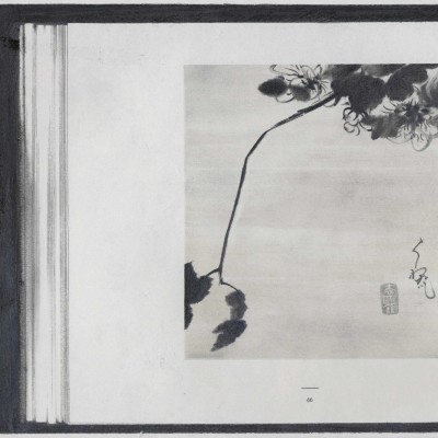 Image of Peiyuan Jiang