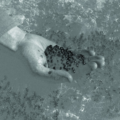 Image of Justin Apperley