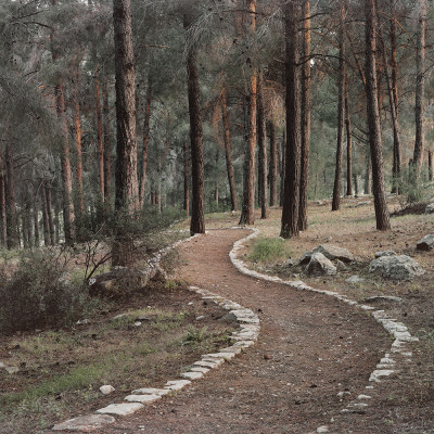 Image of Roei Greenberg