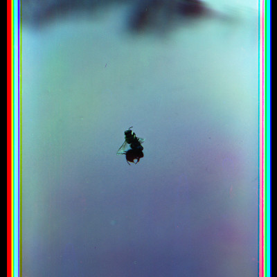 Image of Simone Mudde