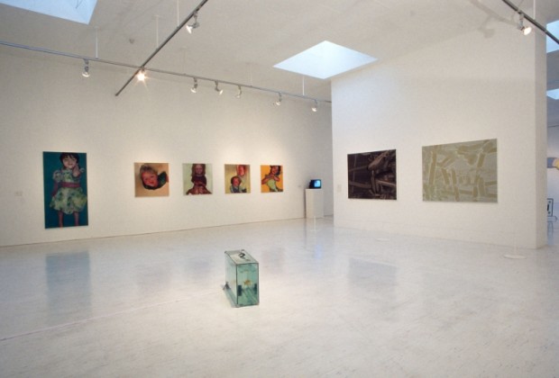 Image of New Contemporaries 1996, Camden Arts Centre