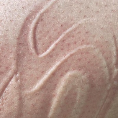 Image of Laila Majid 