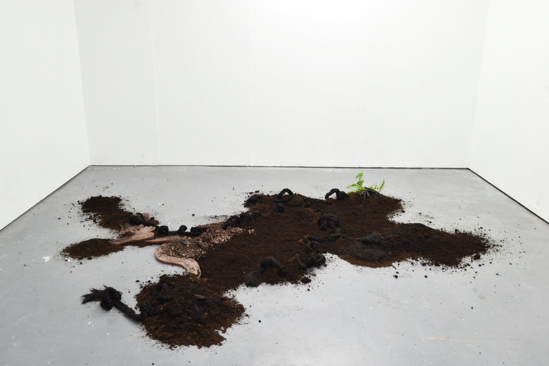 Robinson_Earth, Body._ WEB 1.jpeg