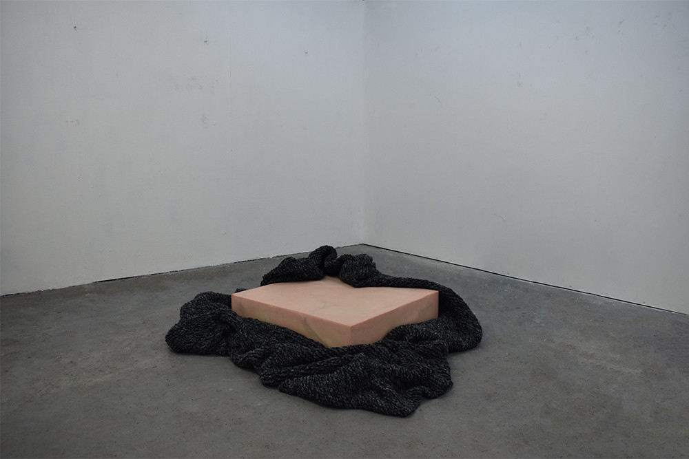 946 [] 2021 Sean Synnuck - Synnuck_DuvetDay_Web.jpg