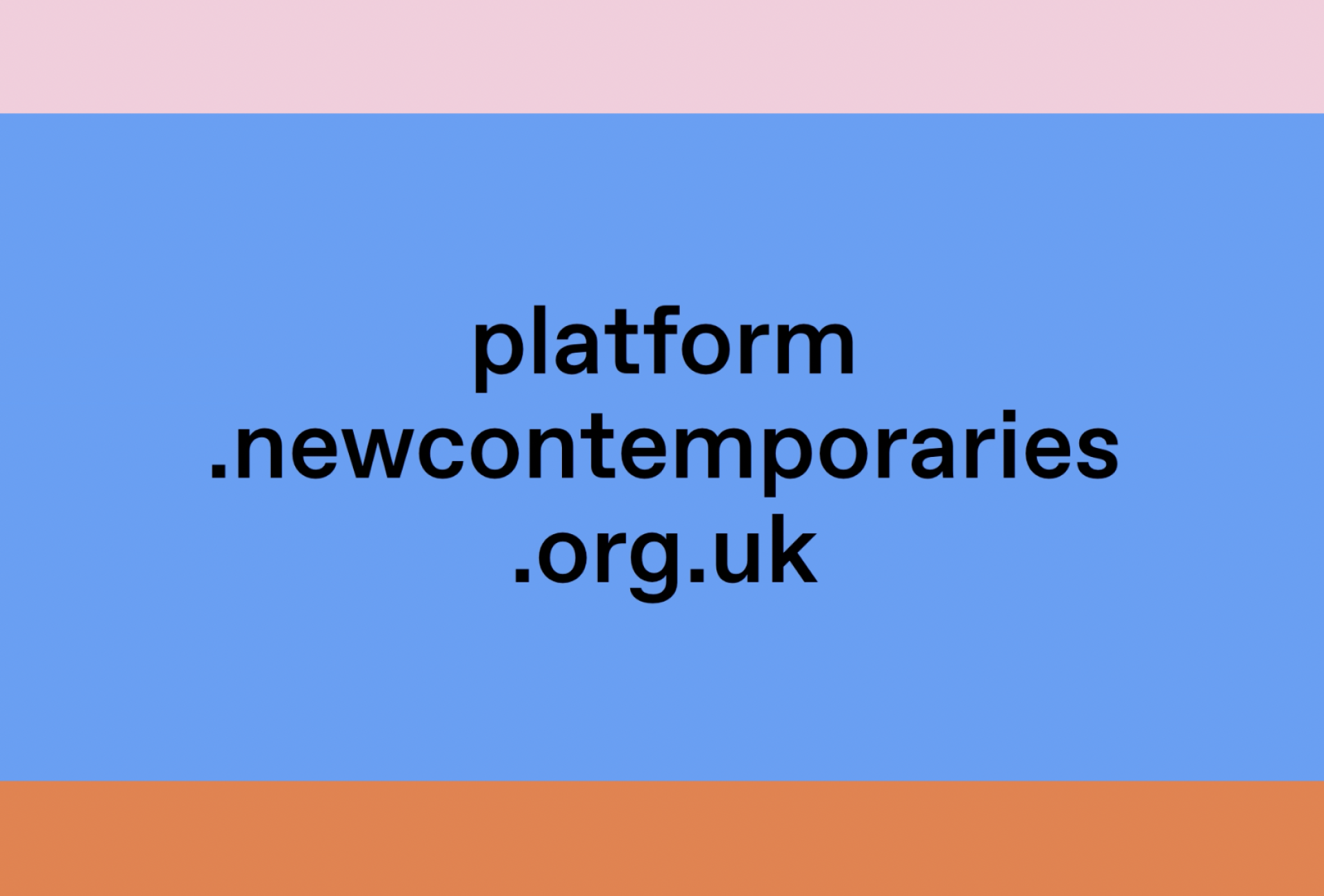 Image of New Contemporaries 2022 Online Platform