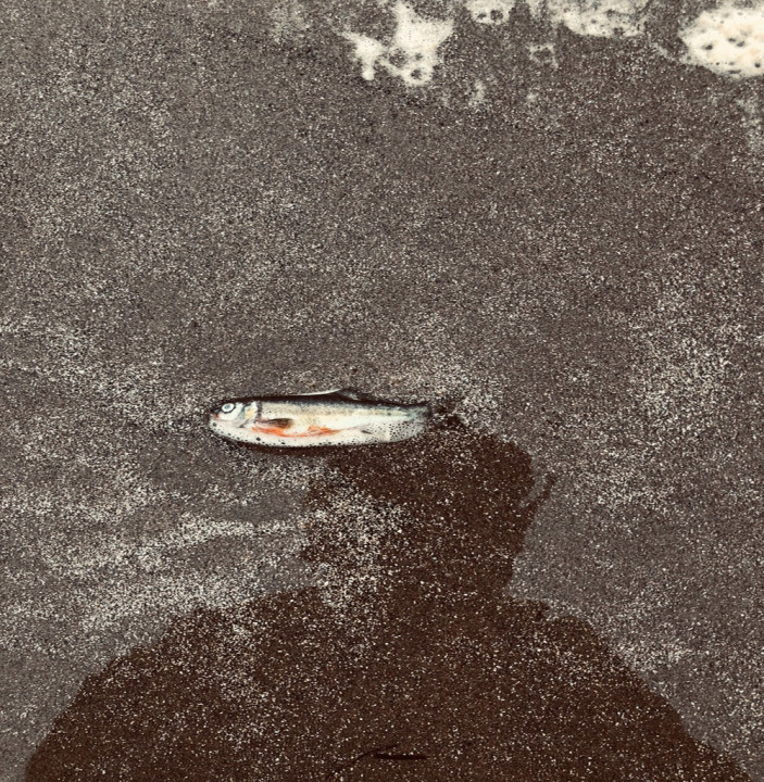 Phyllis Mcgowan McGowan_DearChristina_WEB.jpg