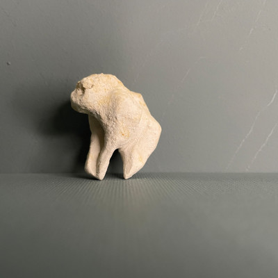 Image of Sarah Cleary