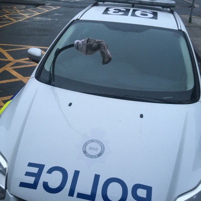 Image of Shaun Doyle