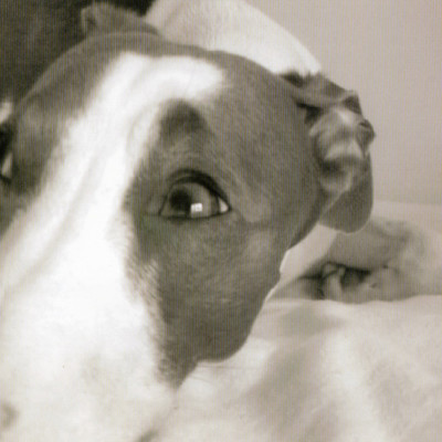 Image of Elizabeth Lee