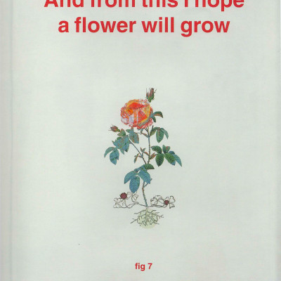 Image of Seb Humphrys