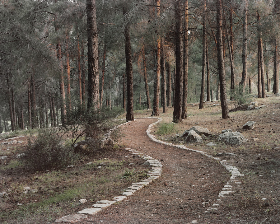 Greenberg_Stone Carved Trail_WEB.jpg